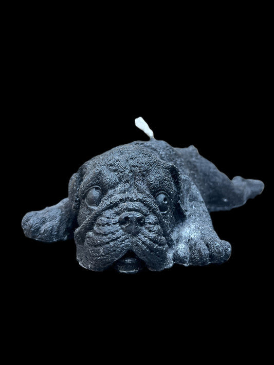 BULLDOG DISTESO nero