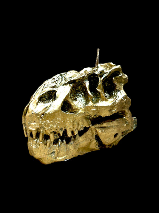 TESCHIO DI T-REX oro