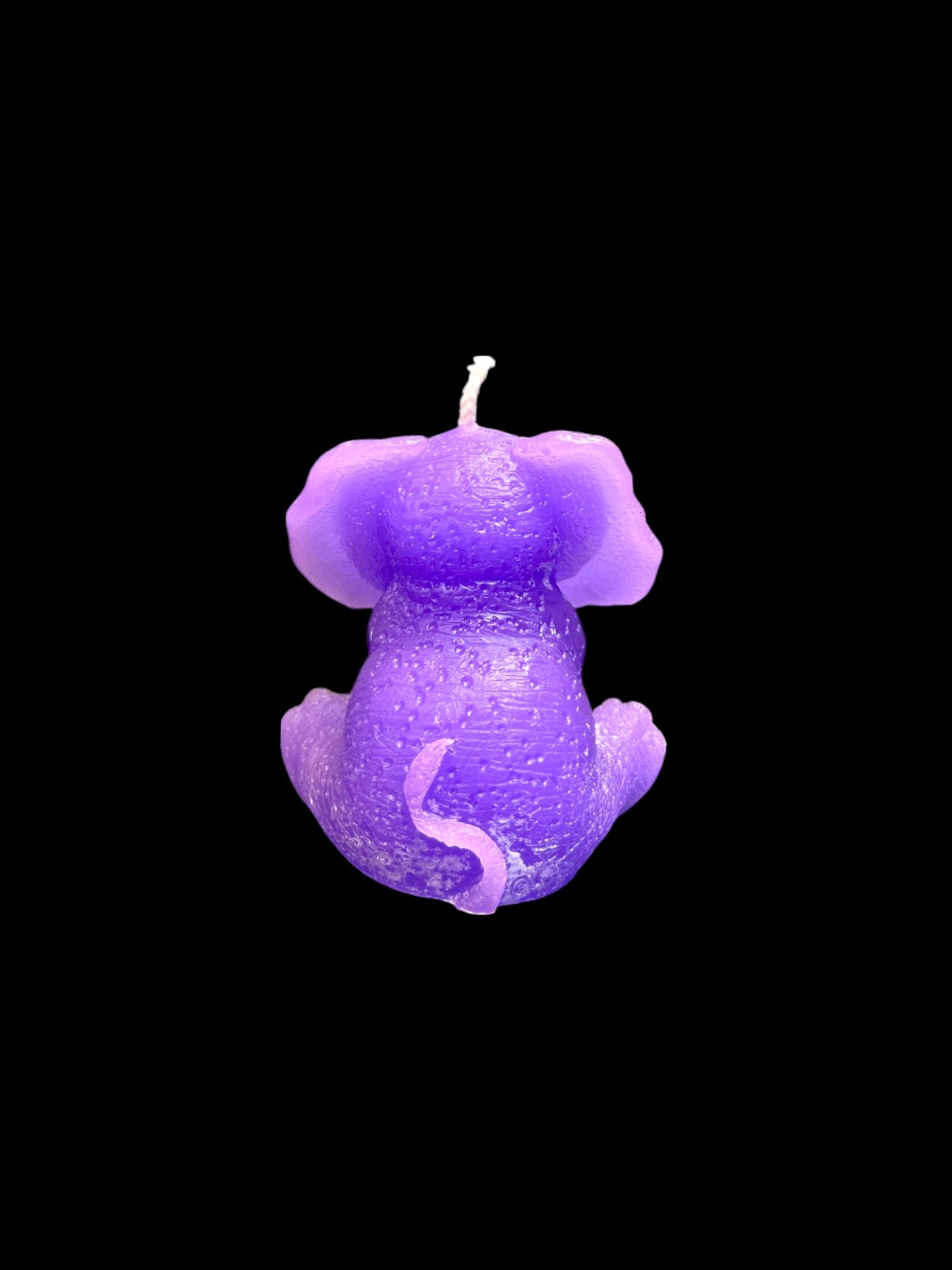 ELEFANTE viola