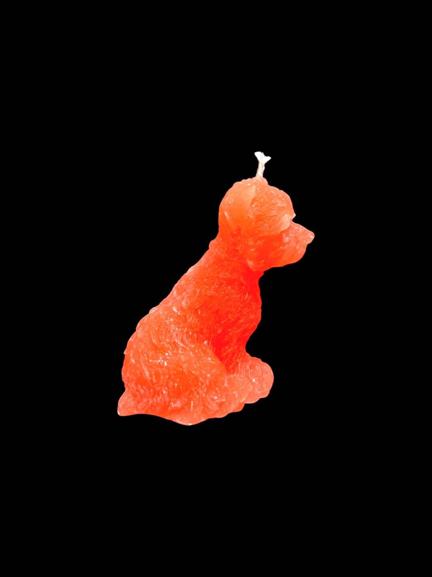 YORKSHIRE arancio fluo