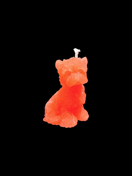 YORKSHIRE arancio fluo