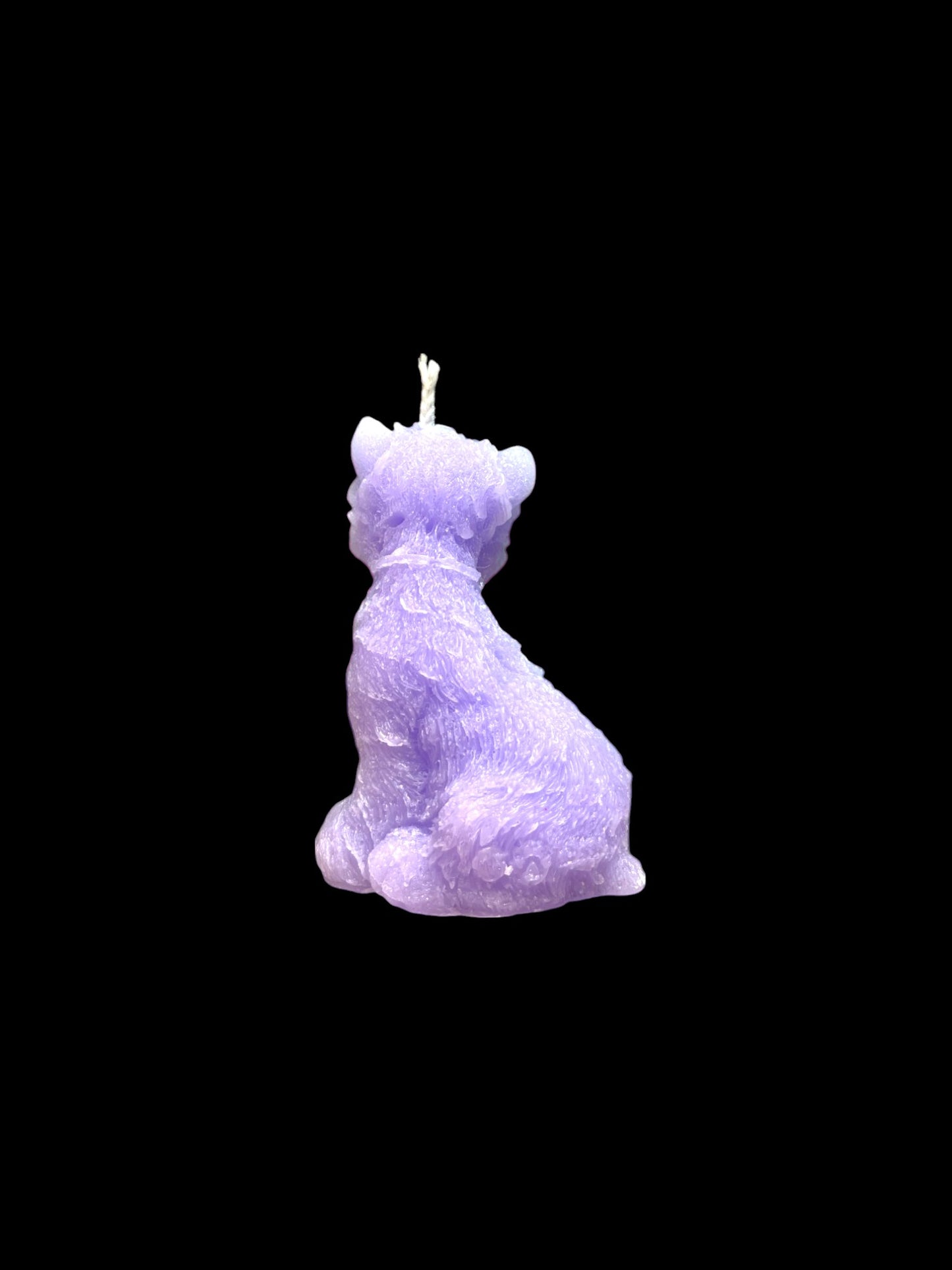 YORKSHIRE viola