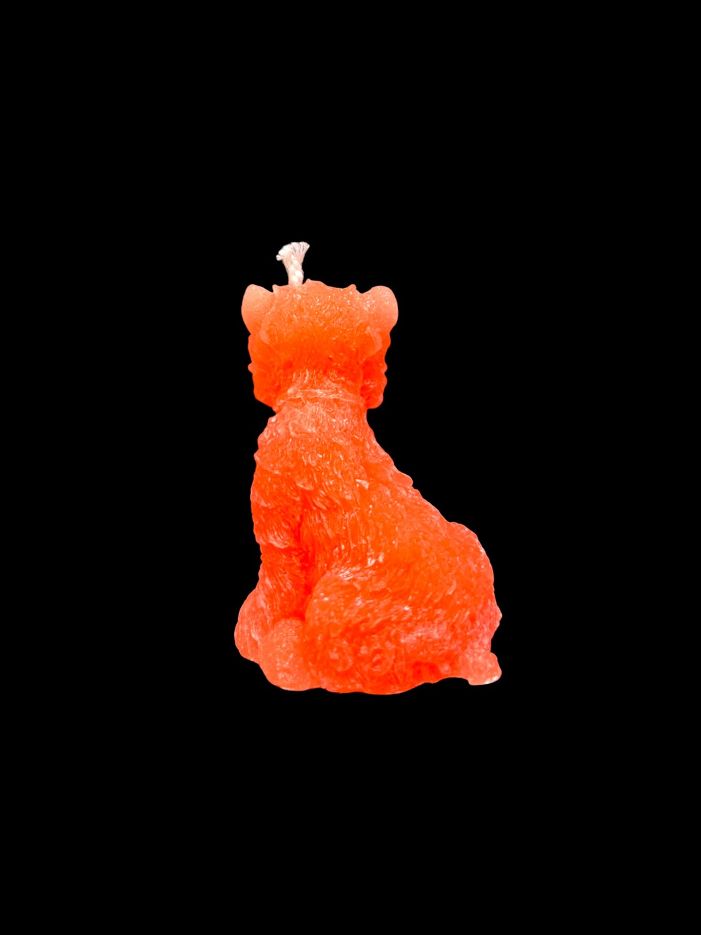YORKSHIRE arancio fluo
