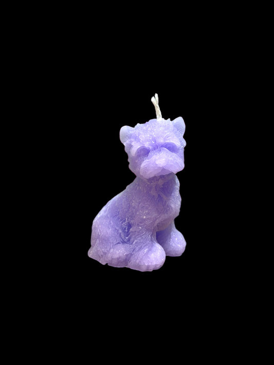 YORKSHIRE viola