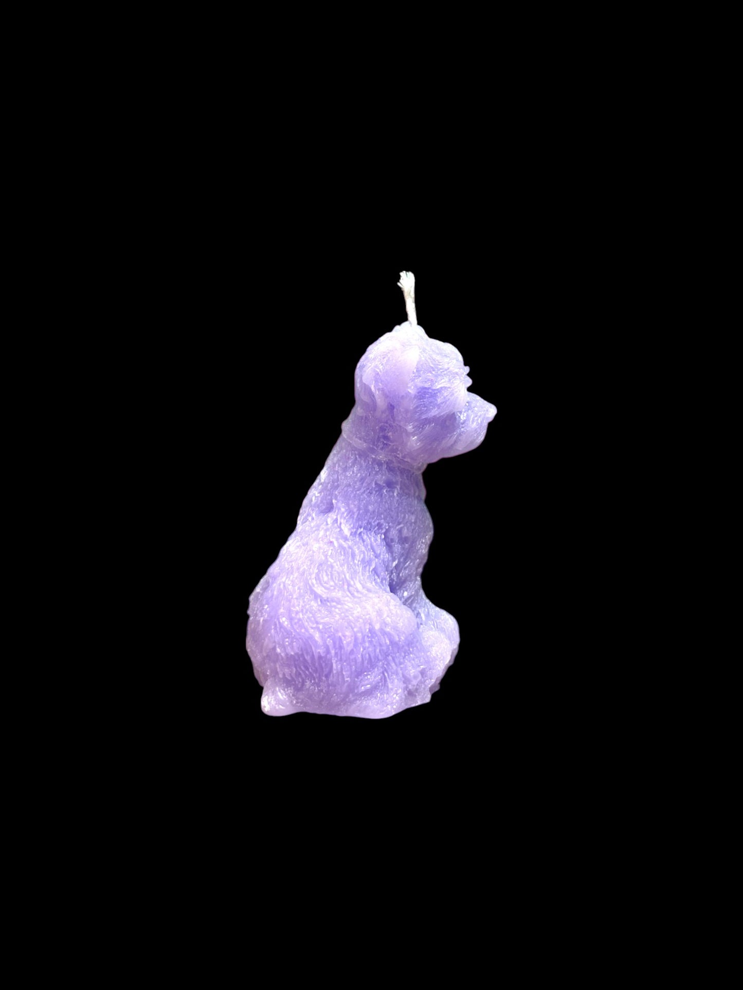 YORKSHIRE viola