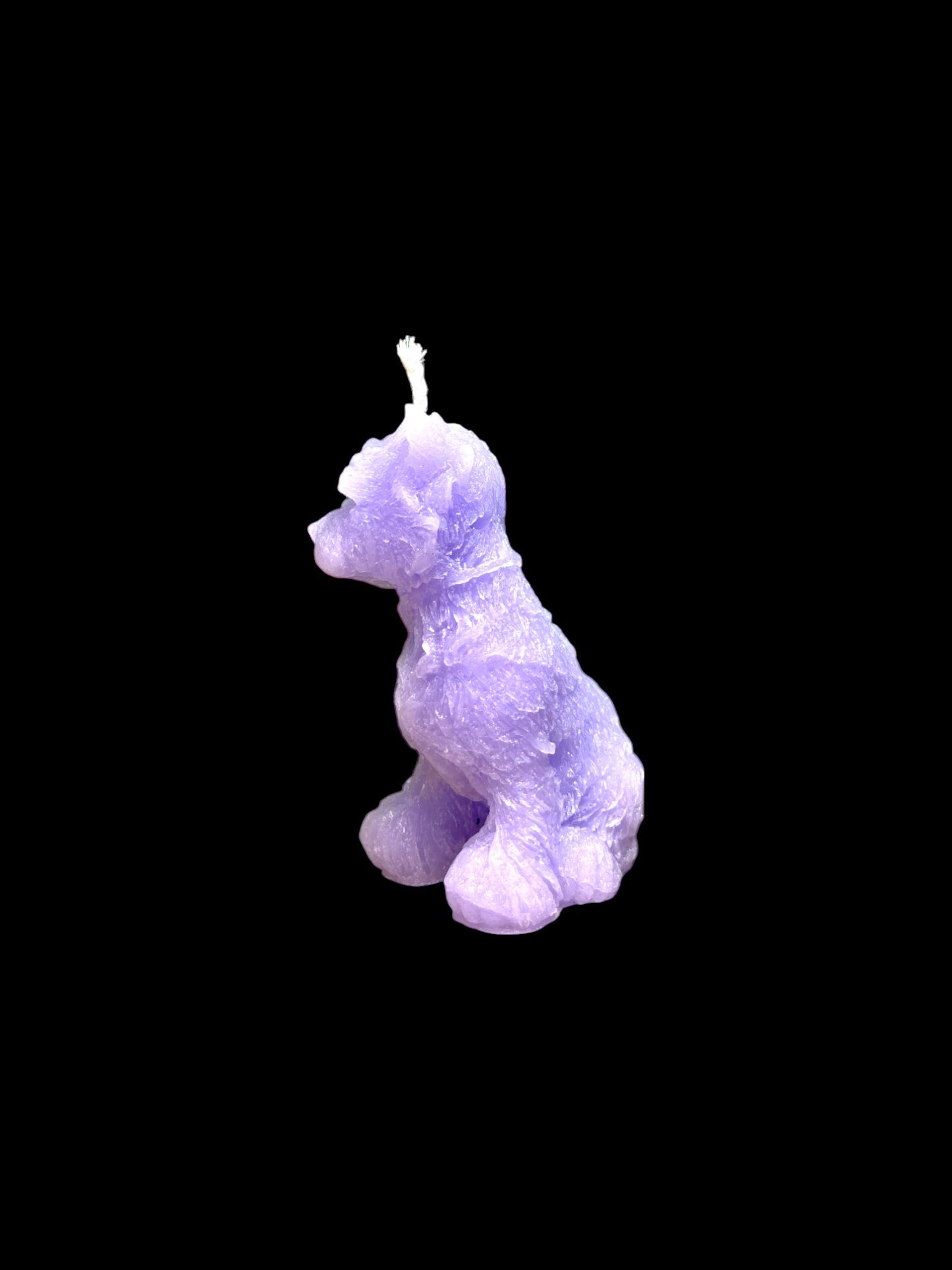 YORKSHIRE viola